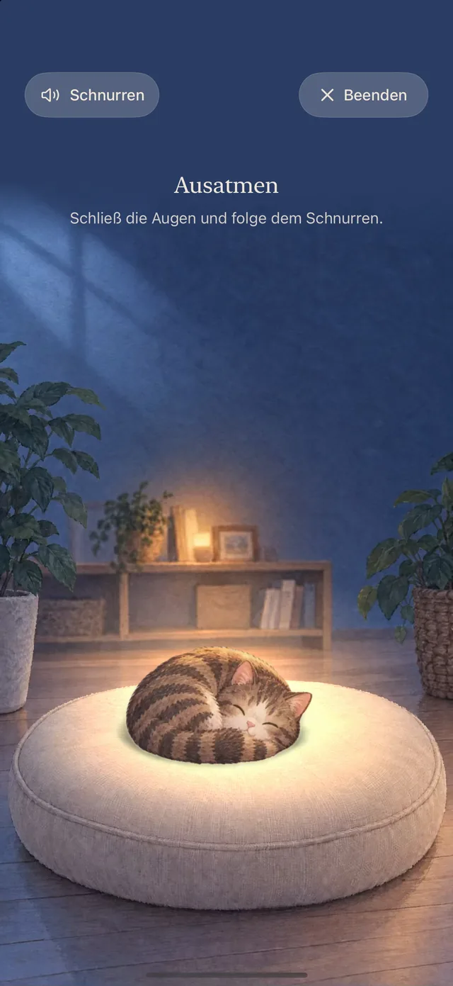 Abendruhe: Mochi schläft in einem dämmrigen Zimmer