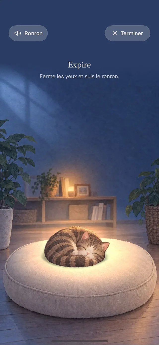 Écran Détente : Mochi dort dans une pièce tamisée