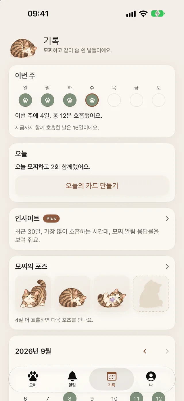 기록: 이번 주, 오늘, 모찌의 포즈
