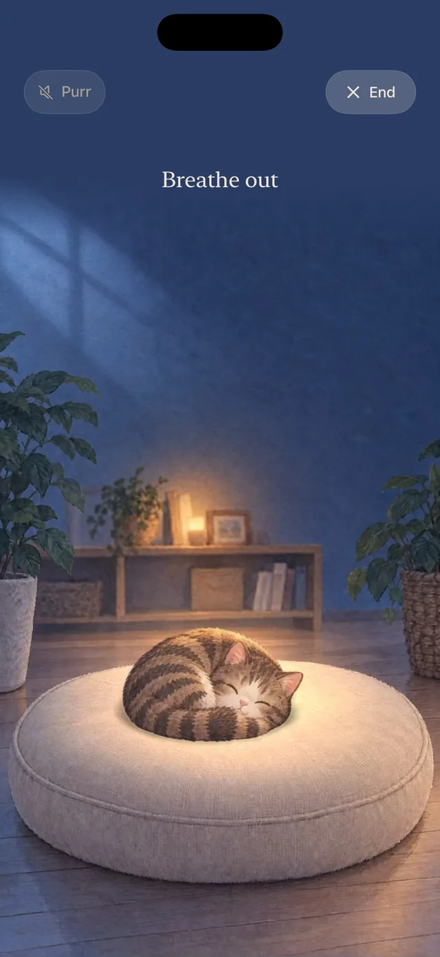 Wind down screen: Mochi asleep in a dim room